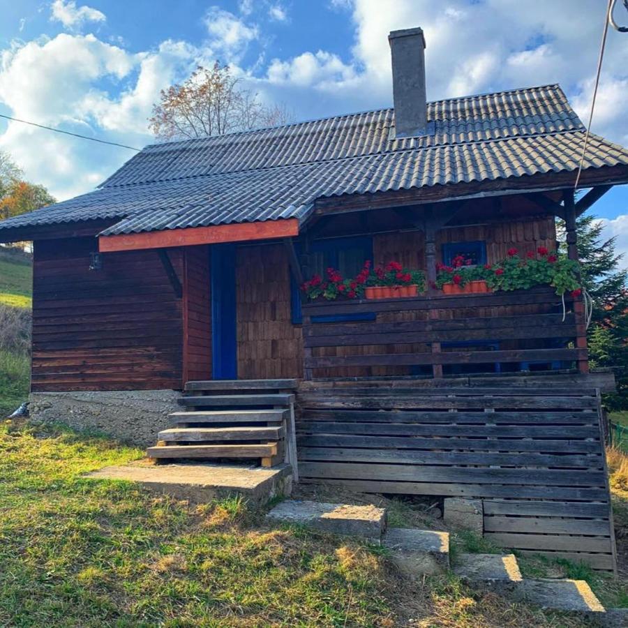 Вилла Casuta Mariei Борша Экстерьер фото
