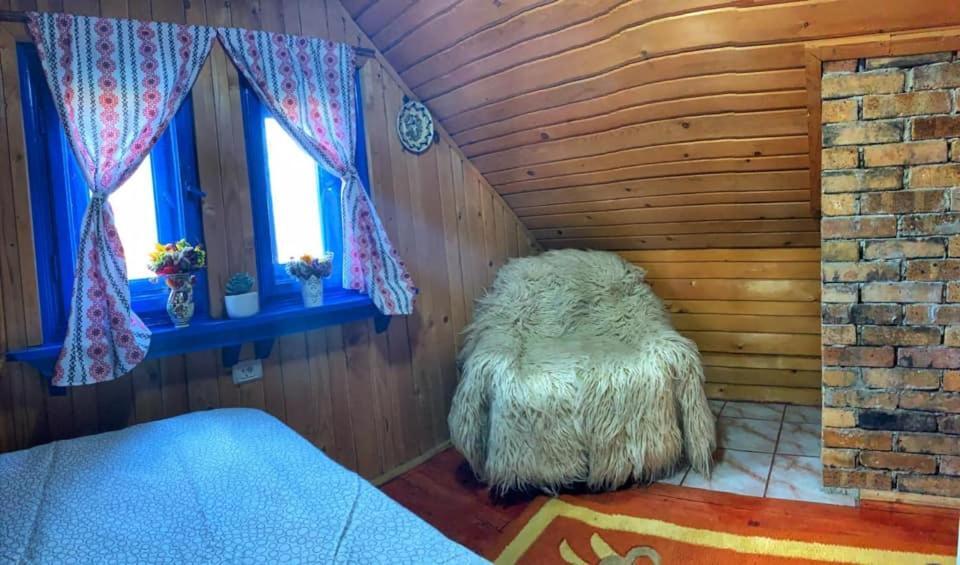 Вилла Casuta Mariei Борша Экстерьер фото